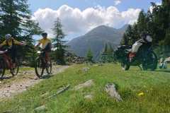 IMG-20210819-WA00188