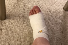 A8FC1C4C-E346-43CE-925A-B82A19DD09DC