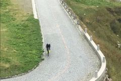 2022_08_19_Tortour_2