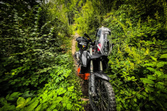 7E50AFD0-F1CF-4507-ADDC-B7F0D97B9BE6