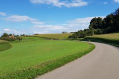 63520d2f-cd95-459c-8178-30cb4647ced4